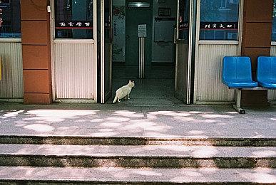 多人恐怖游戏《恐惧疗法》上线Steam 12月25日发售